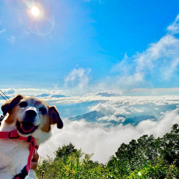 9cb76809 488c 4a14 bef5 eef1ce6a5115 1723724375122