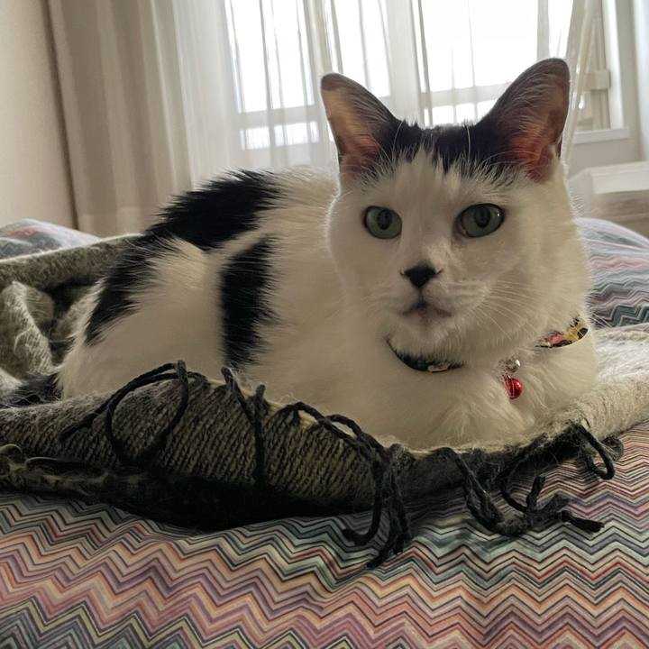 9cb7730e f1de 40fe a4bf f17df20642f1 1639093043749