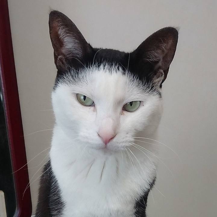 9cb7a4b5 edec 4464 b4ea 81ec488913ba 1554524302686