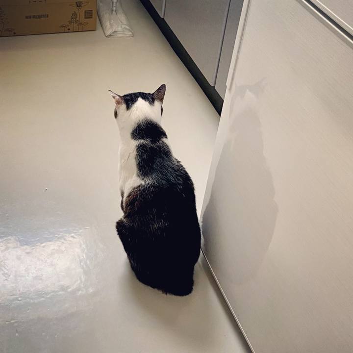 9cb7c4bd b665 4398 b930 d7169ff0ed9c 1616741812486