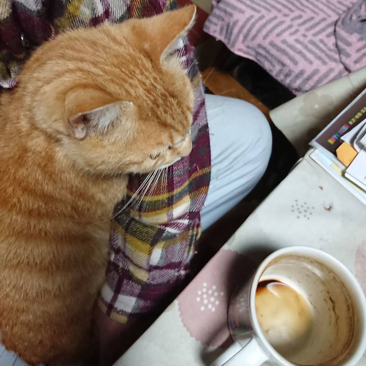 9cb7f568 bcda 427e 9735 e76e41365705 1590007717026