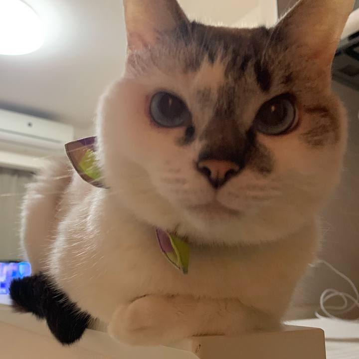 9cb7fc31 6a8a 472f 91cf c480abe263cf 1562415476299