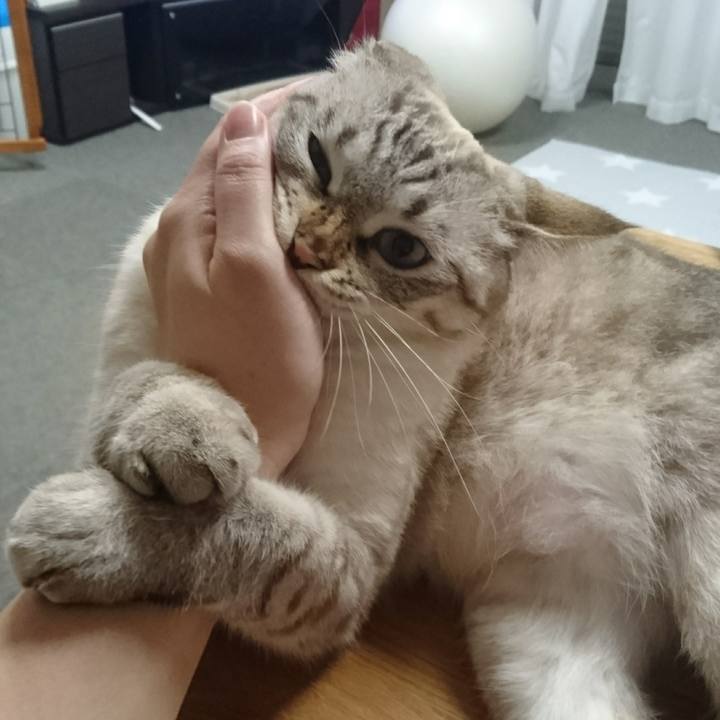 9cb80e43 82f2 4907 a444 b56c1ab5cb09 1507801545784