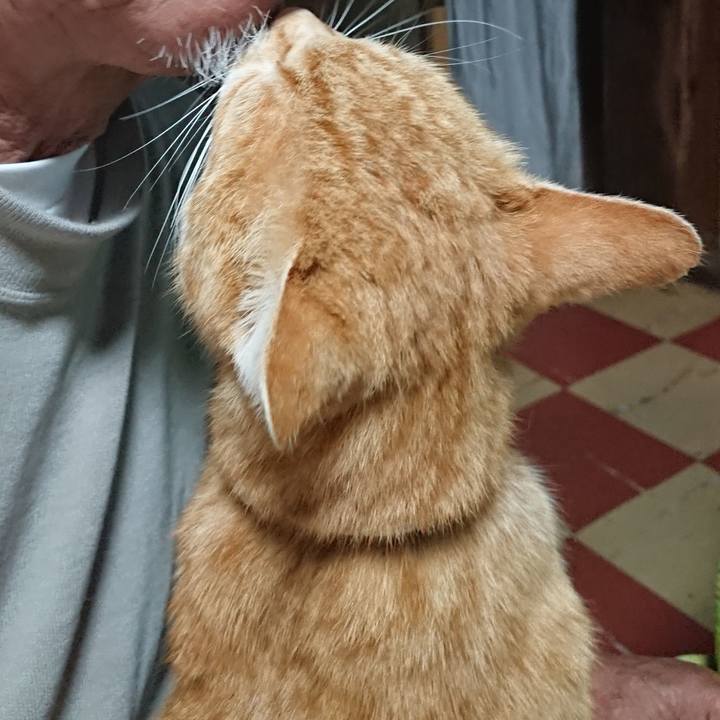 9cb82def bad5 4c37 be63 685b4f58f9b3 1589279026395