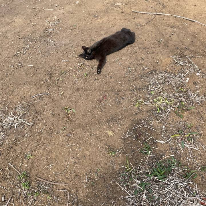 9cb83c13 7a04 47e7 b673 685de3b03513 1774264677188