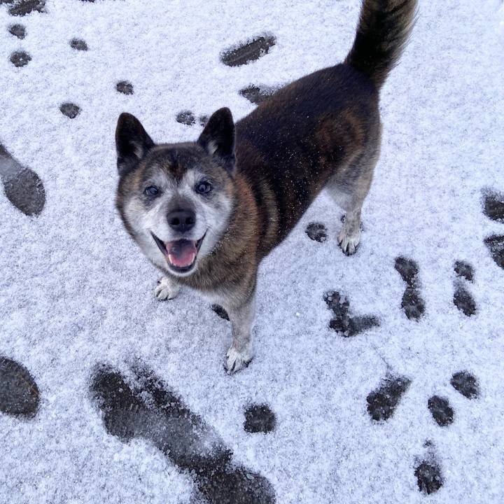 9cb853bc cb1d 4792 a561 f75c557a275e 1702854092364