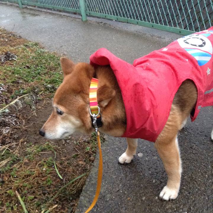 9cb8c15c 06d3 40f0 8259 7313215a8bb1 1517472362137