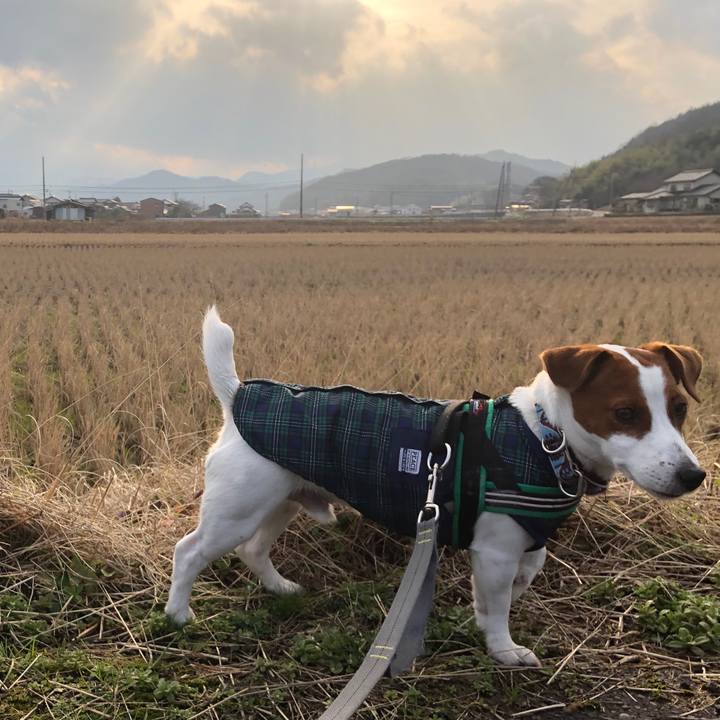 9cb8e471 b57a 4cfa 87b5 77d3009030a2 1550045719626