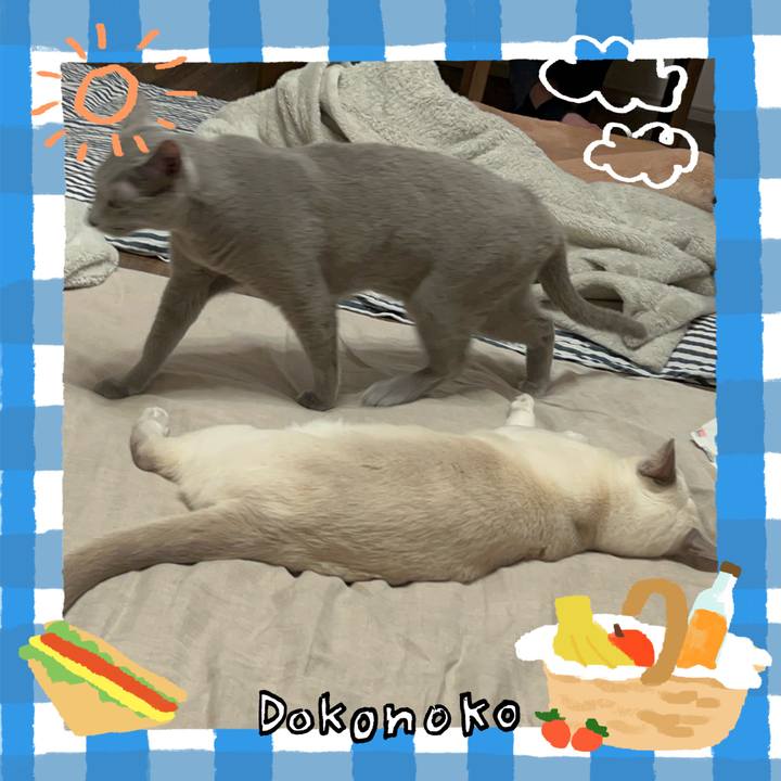 9cb8f984 5f4f 426b 96ff 8e255075d080 1744442491910