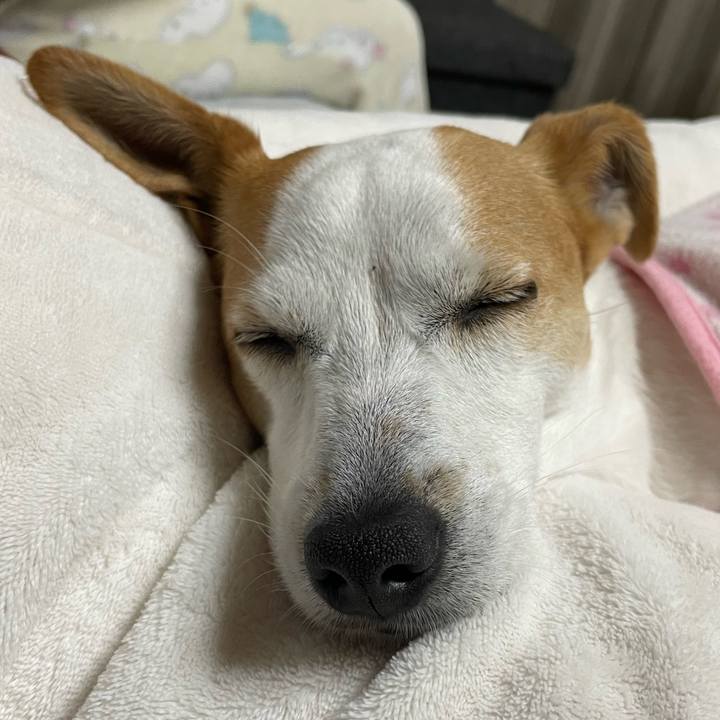 9cb92d19 677b 4abc 85b1 237e3dfbf079 1647817876510