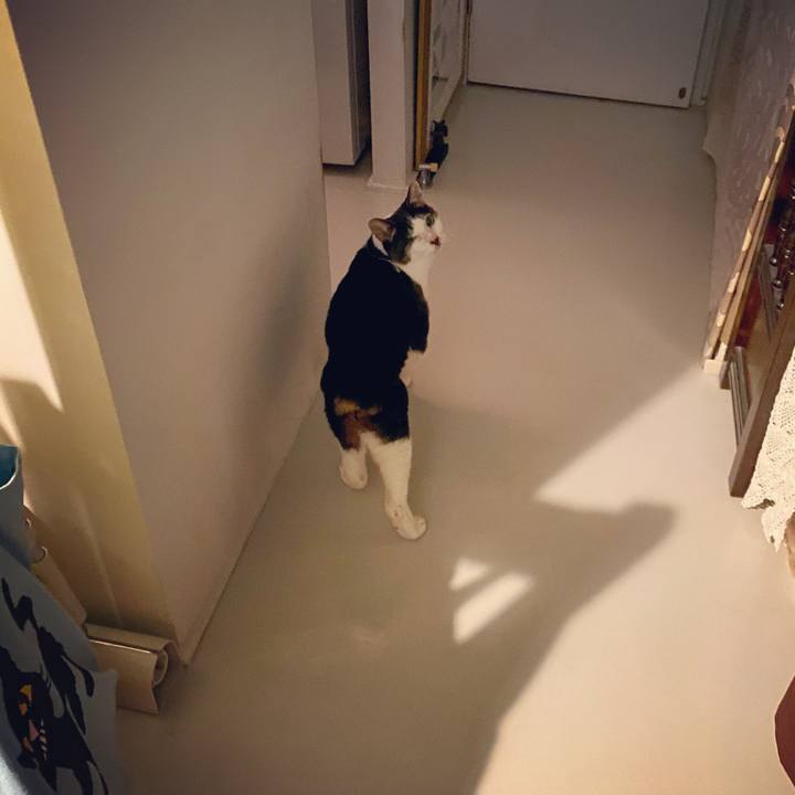 9cb94f5b 6e3d 485d a7ca ff8f4dce47ec 1607085900662