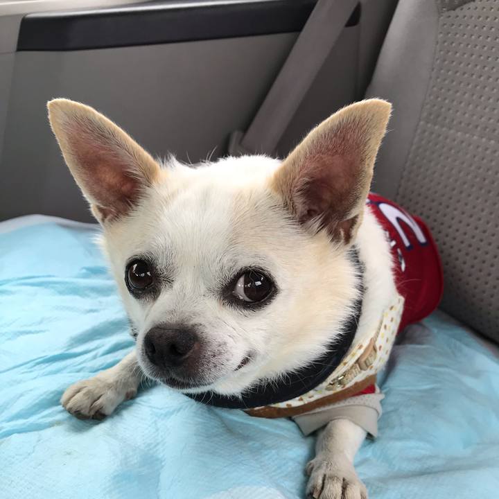 9cb9529c ae2e 42e2 be78 3070bc7590d1 1559742980251