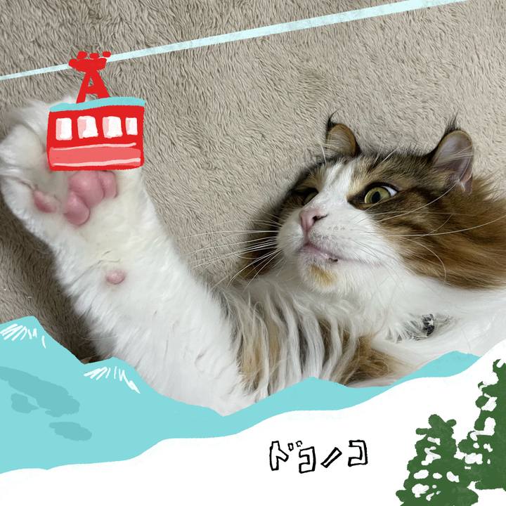 9cb965a3 a1e8 46f2 82cd c936b9f23aa1 1706860271317