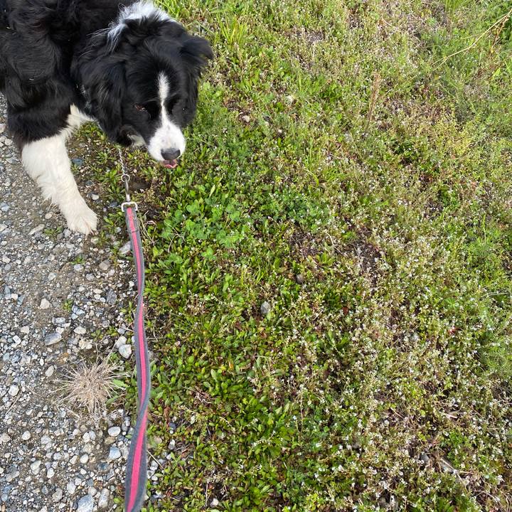 9cb96a3f 492b 4357 b7fa a728fd300e27 1648601066473