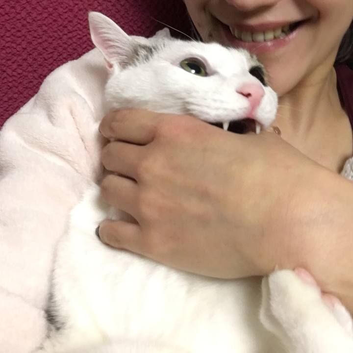 9cb96fc5 67be 4a89 a826 8d21169c051f 1517492677525