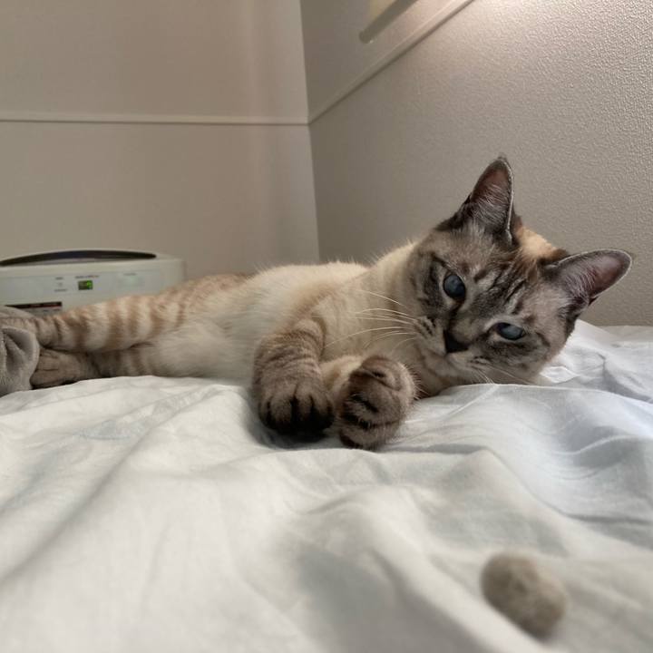 9cb97fa2 249e 4aea 82c7 644d20333d29 1621944239819