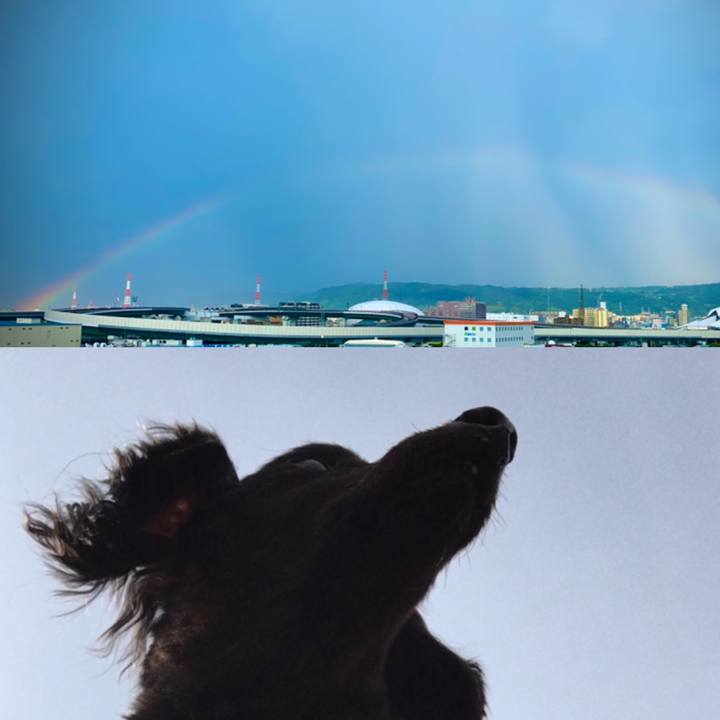 9cba37f6 a840 43e6 926c 944ba1f57a51 1598426506462