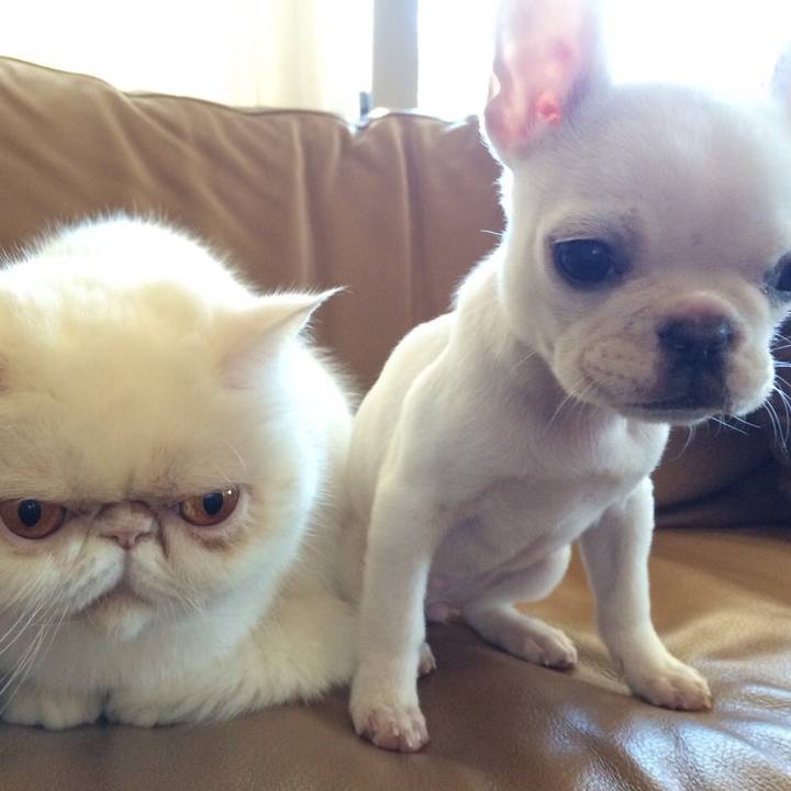 9cba6150 6976 435d 8e74 a56a0d5a26c0 1692096153357