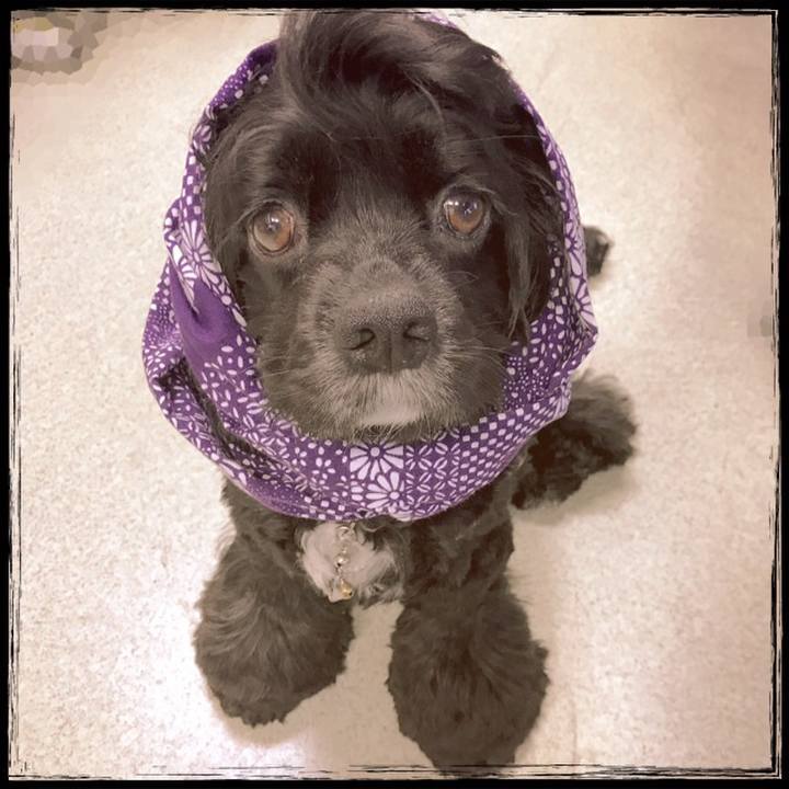 9cba9810 8fc1 49d9 ba06 be997cee3bda 1534322845050