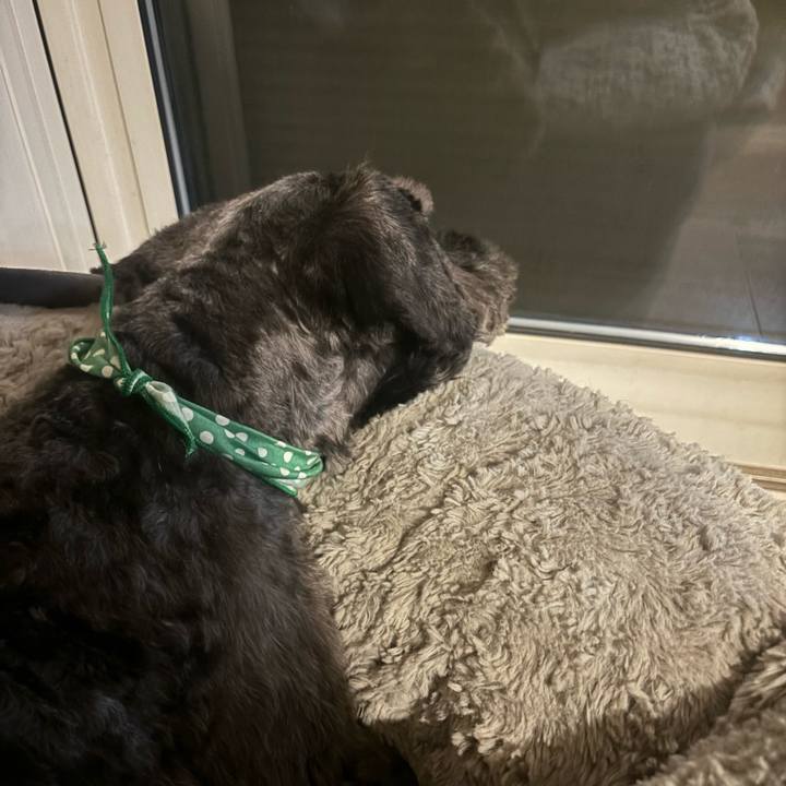 9cbac4a2 6761 48d1 8f1a 6cc50b670ee9 1720312547958