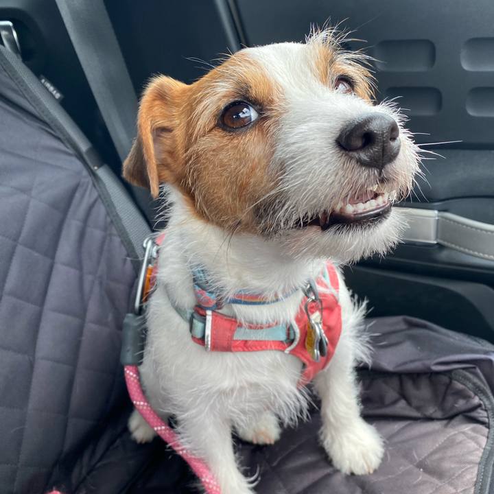 9cbaca88 fef8 4a2d a879 f0bdb4f98cbc 1771128529947