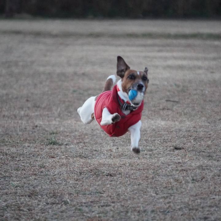 9cbad42a f039 4f77 bb56 12c5373776ff 1548024167150