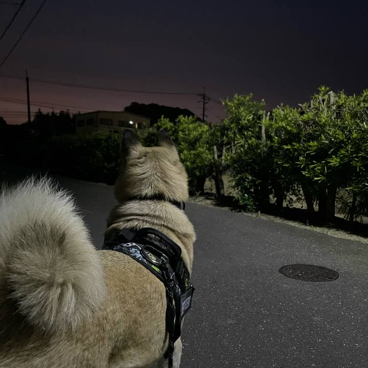 9cbaf80c d70c 4ee6 9475 04c4f588899d 1716207428776