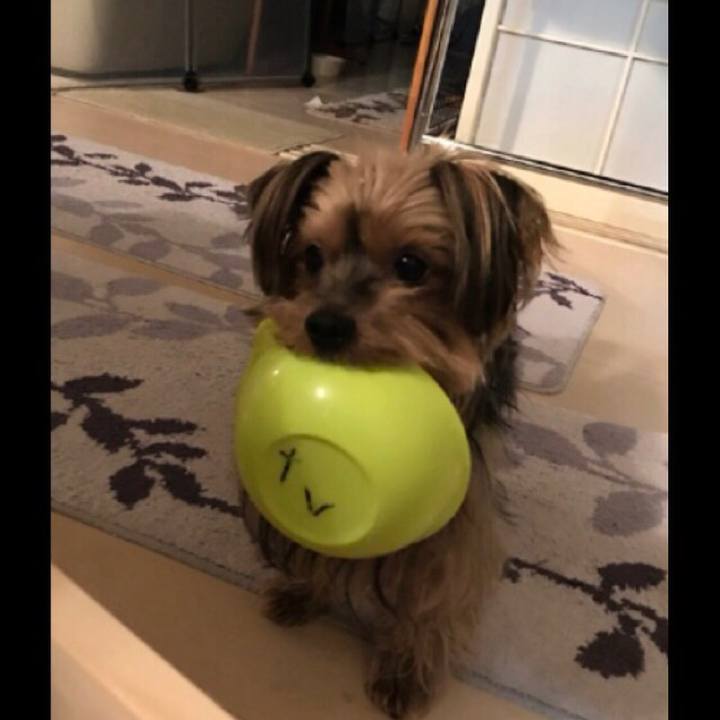 9cbba5ce 43d2 4cc6 a0b6 fa6d44d0b44c 1519291843492