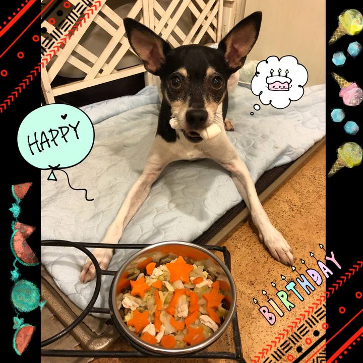 9cbc1c26 61c7 481d 8a38 05b913dbcaac 1530538255756