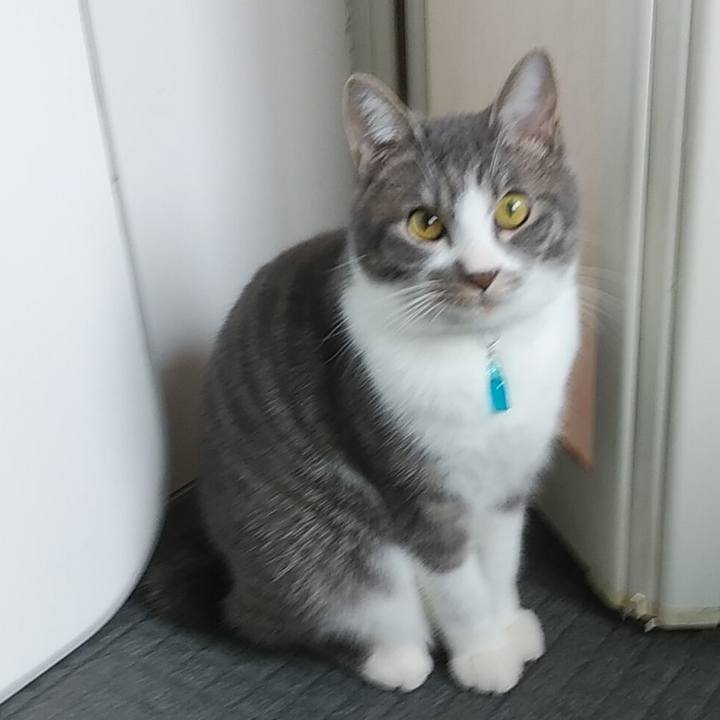 9cbc302d d572 4e5b 9f0d 208c9980b94e 1580174463183