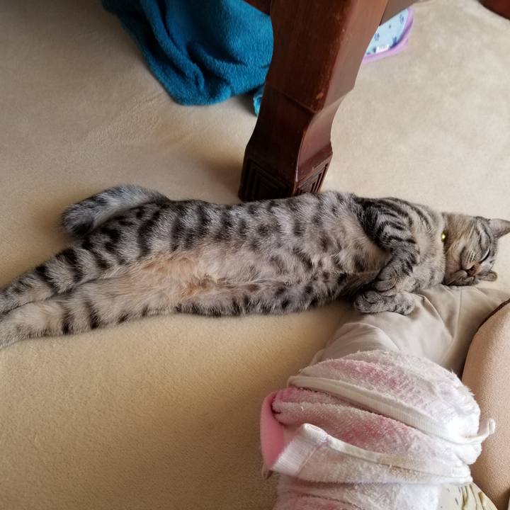 9cbc3b16 ea60 428a a4e5 ef22ac8f47e9 1674836589572