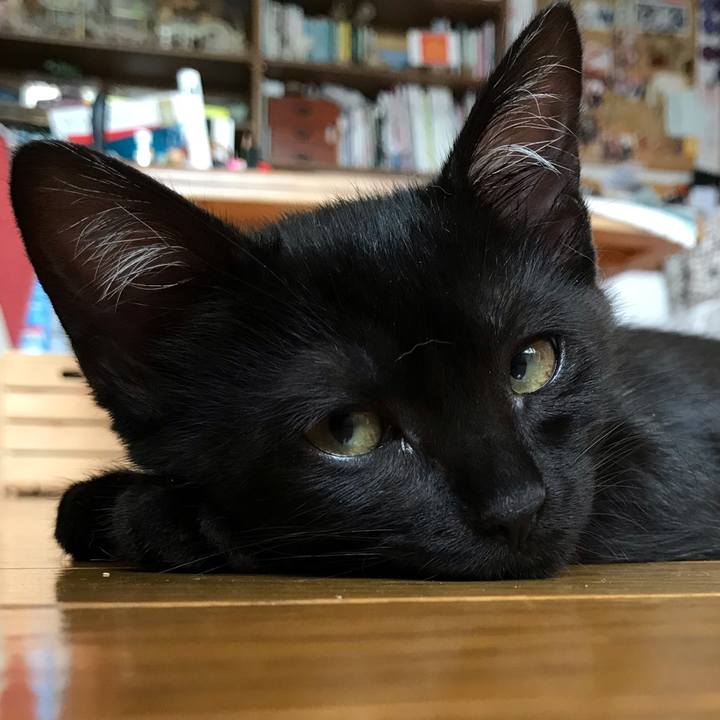 9cbc6556 a1d5 4cf5 a63a 77f3a9b4f7be 1580552978808