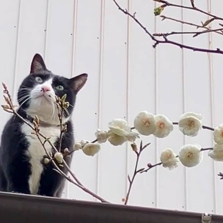 9cbc6614 3379 461c 92ab 5272b3ca481f 1740622095924