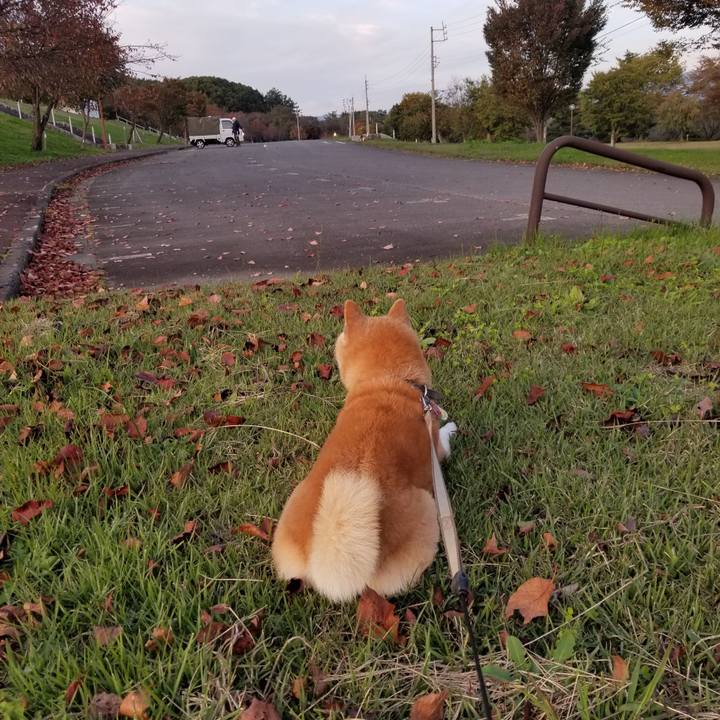 9cbca9a6 479a 43e4 b493 44ac1b2a22e3 1697615471922