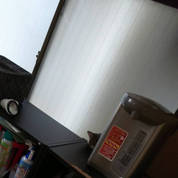 9cbcb348 a4c2 4076 a4a7 bcd43408a908 1533628053256