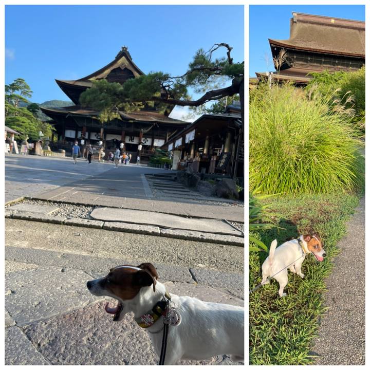 9cbcb8ec 6826 4eee b7e3 33fa27e4f822 1692491979251