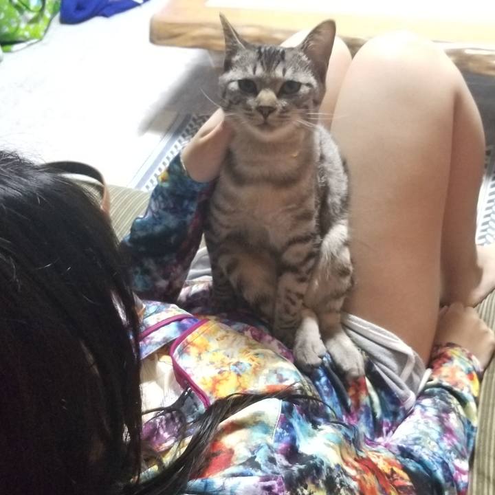 9cbcbb54 2631 4401 b5b1 337e1a190f93 1678711196574