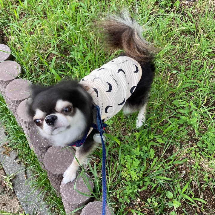 9cbcca61 97c7 4b10 b77d 644fce2f8480 1717343558356