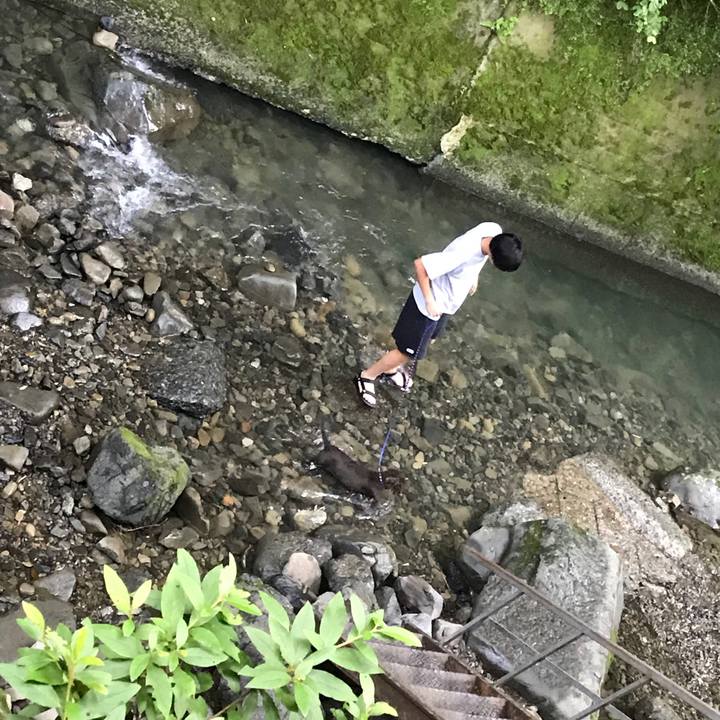 9cbcd186 213a 47a1 8223 a482fedd79e0 1531658135238