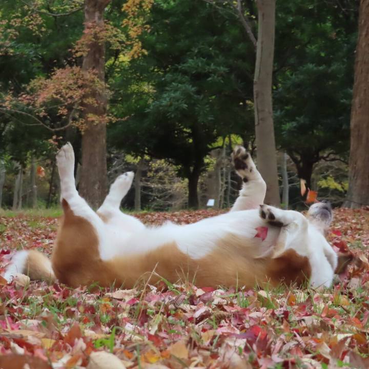 9cbcfb21 f95a 433f 8927 77fa9e18204b 1669174428087