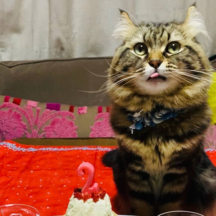 9cbd3a5e 59c1 44a1 a319 45dba336ed80 1641317400532