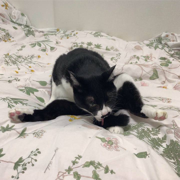 9cbd5f82 d4e6 4f02 a1b4 30800aaa5e89 1574091606923