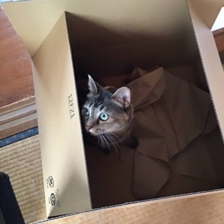 9cbd77d6 8e78 4b4d 89f1 41505560b3bf 1697541358731