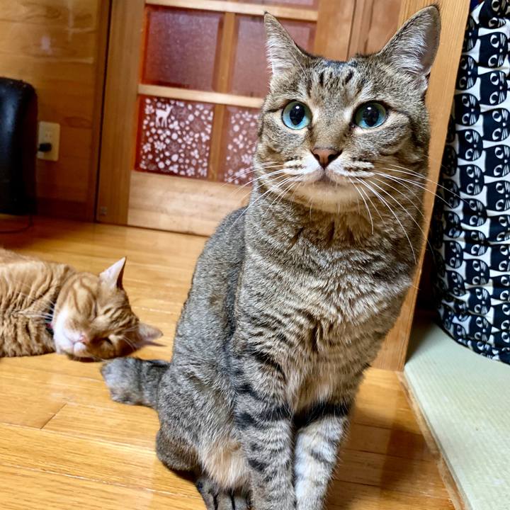 9cbd93cc 5a7f 4f54 9819 0f454bd2211d 1564318191003