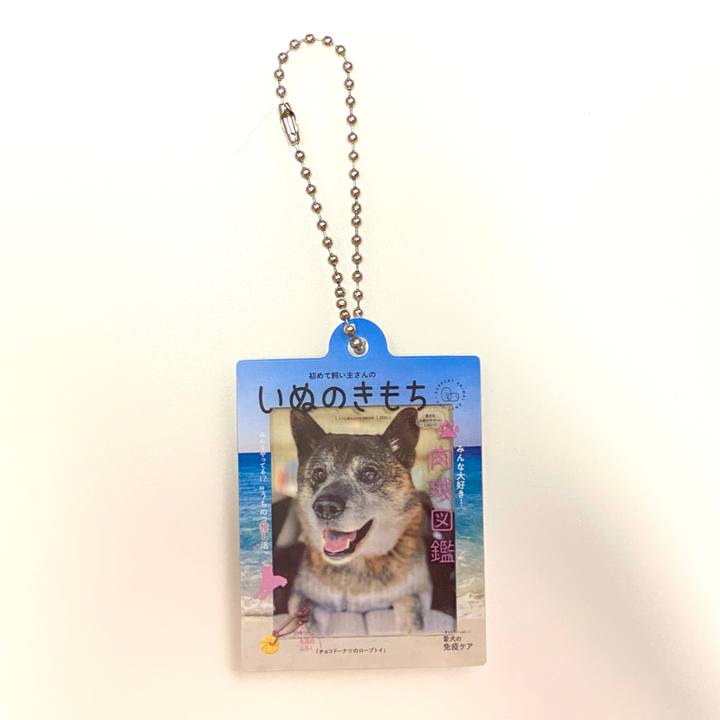 9cbde630 6b44 4086 bb84 d5191ba25260 1725713705087