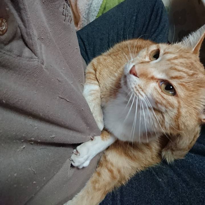 9cbded09 ffe9 4839 9c42 4d1a958ad677 1588107143708