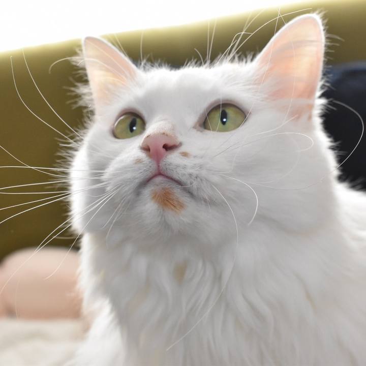 9cbe0c00 3cf0 4017 9d52 fdf7042b2a36 1770176794651