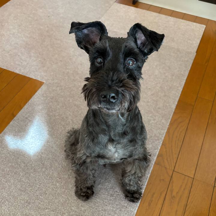 9cbe1031 0f5a 4c82 9dfa a000a2d554df 1738719236129