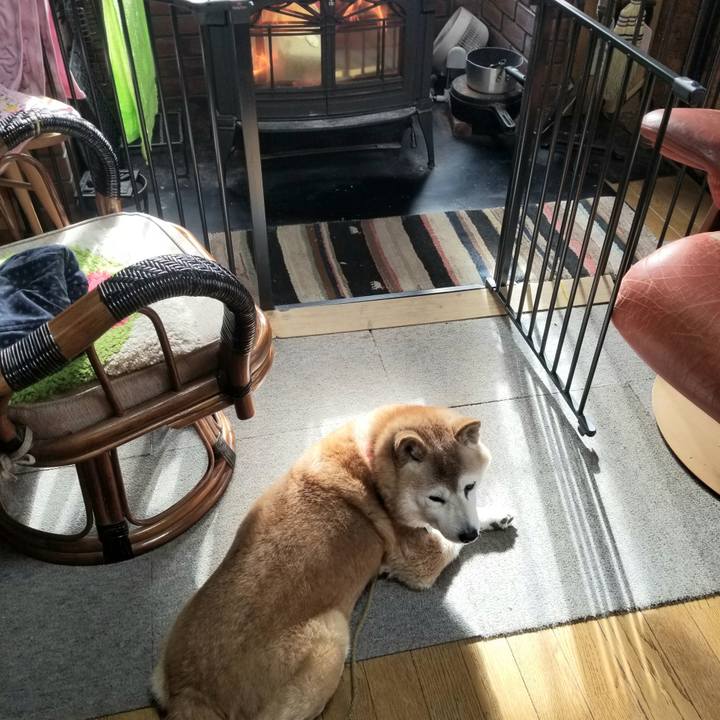 9cbe10e5 828f 42e7 9970 5747a3921275 1711495455465