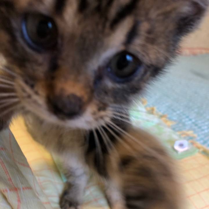 9cbe2865 717f 46e5 967b c81ff6da8f69 1724055863203